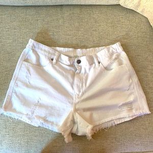 Never worn Aerie Daydream Denim Shorts (Size L)!